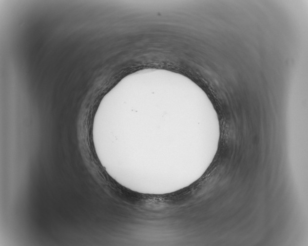 X0000101461489200807280949