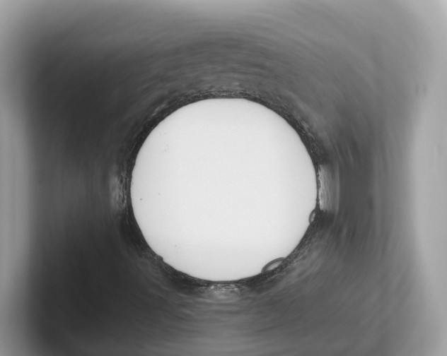 X0000101461491200807280949