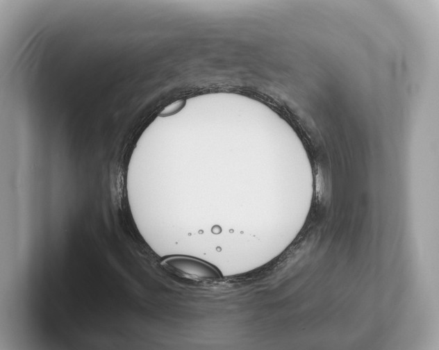 X0000101461492200807280949