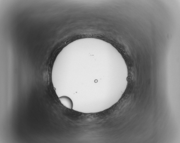 X0000101461493200807280949