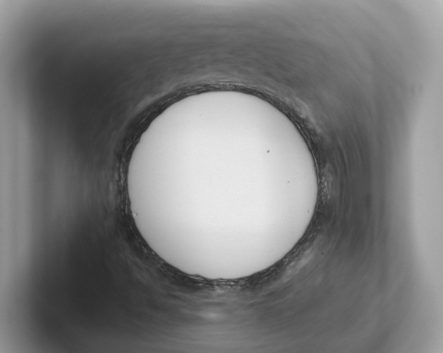 X0000101461494200807280949