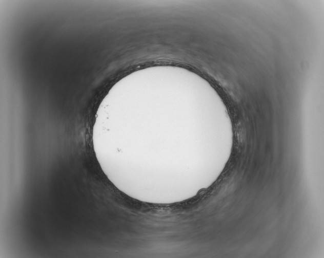 X0000101461495200807280949