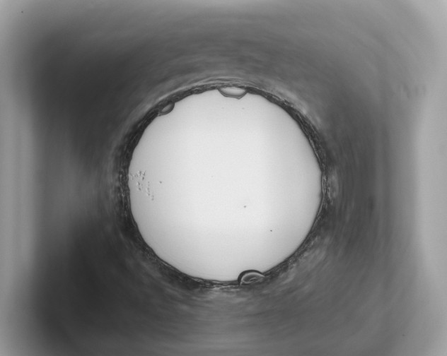 X0000101461496200807280949