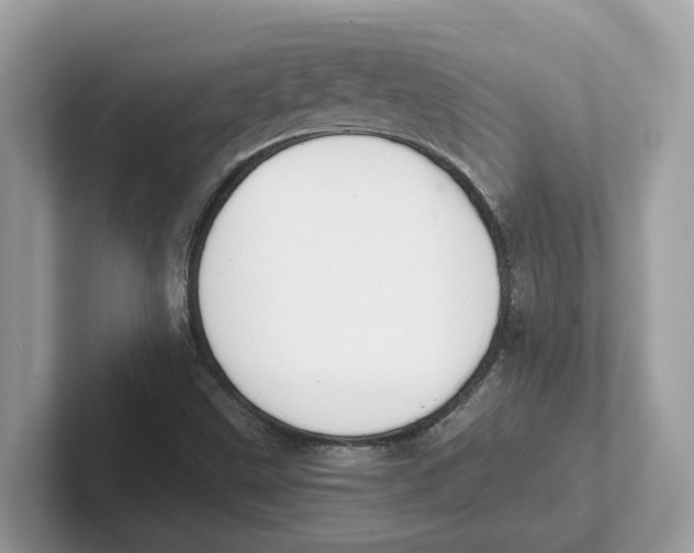 X0000101461499200807280949