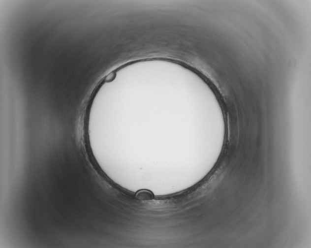 X0000101461500200807280949