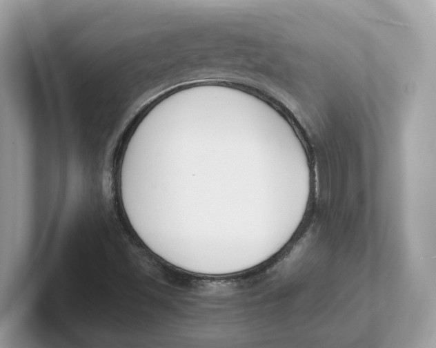 X0000101461501200807280949