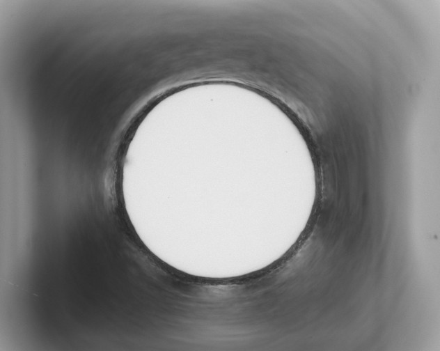 X0000101461502200807280949