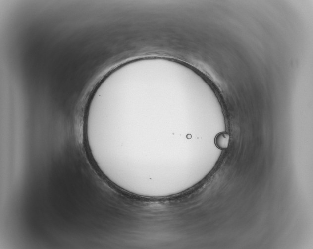 X0000101461504200807280949