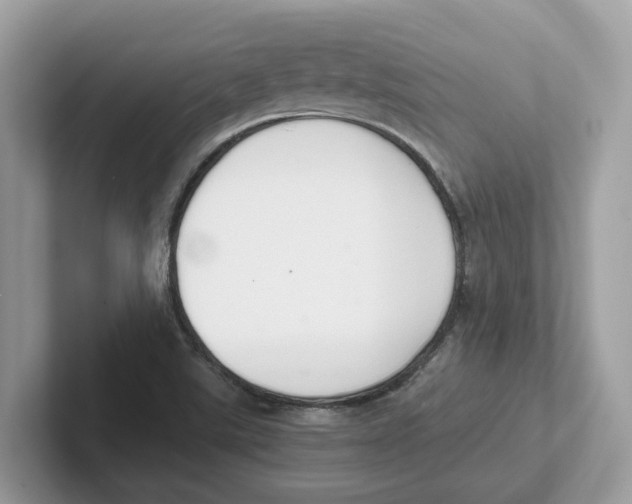 X0000101461507200807280949