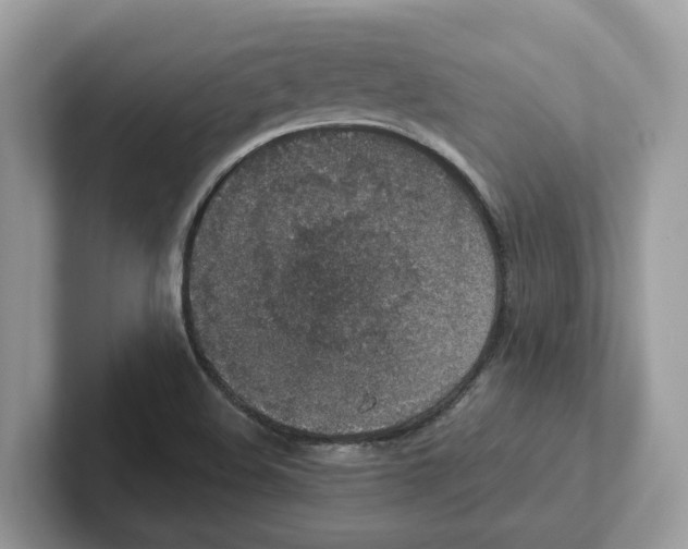 X0000101461508200807280949