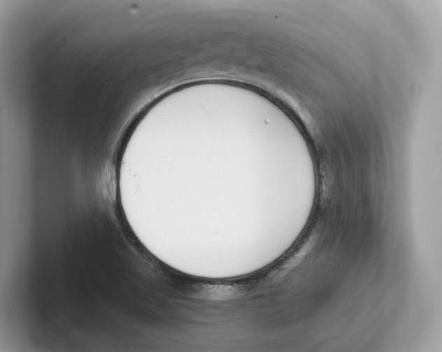 X0000101461509200807280949