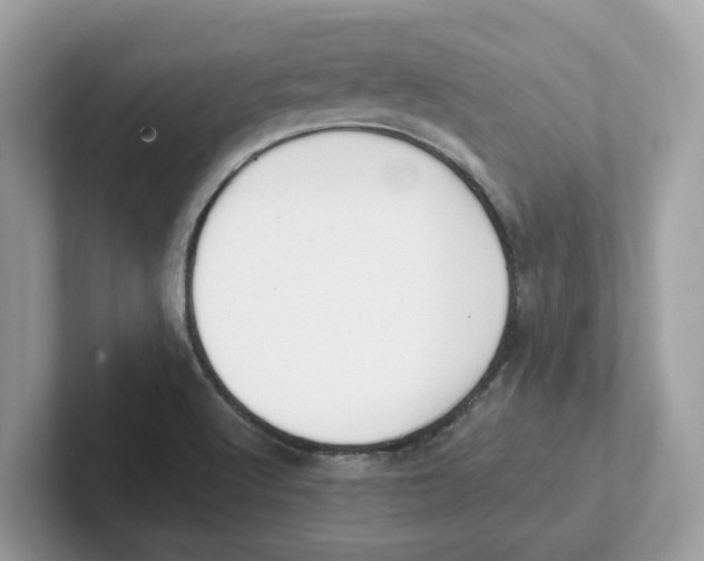 X0000101461512200807280949