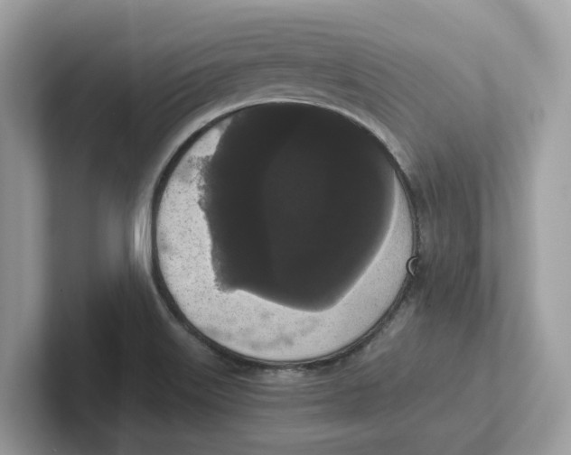 X0000101461515200807280949