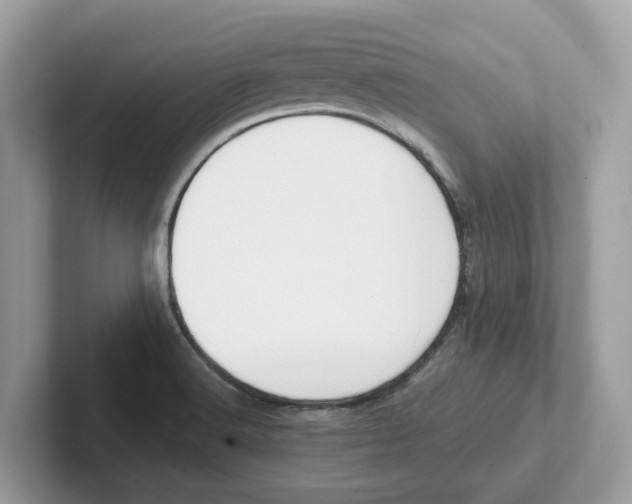 X0000101461516200807280949