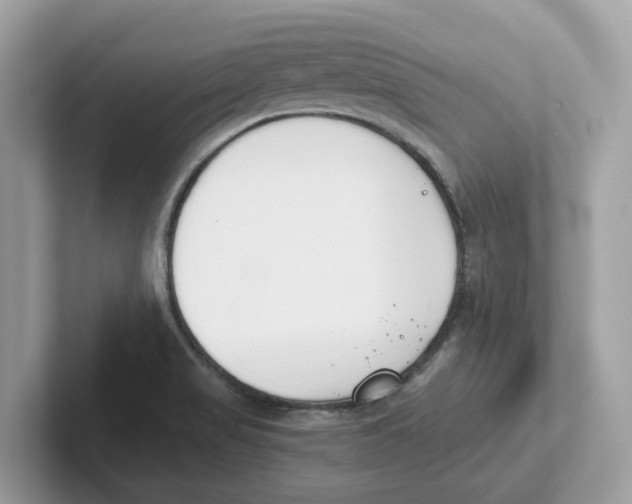 X0000101461517200807280949