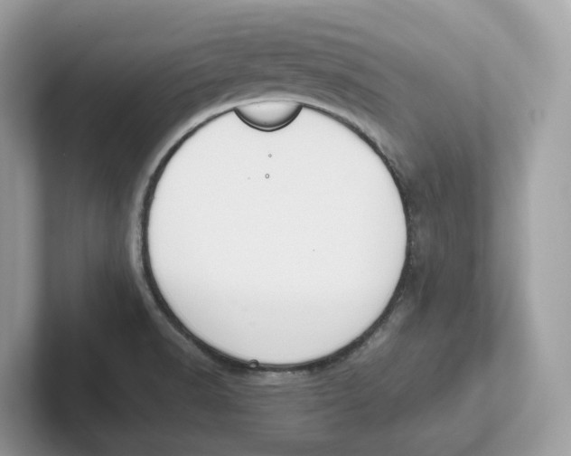 X0000101461518200807280949