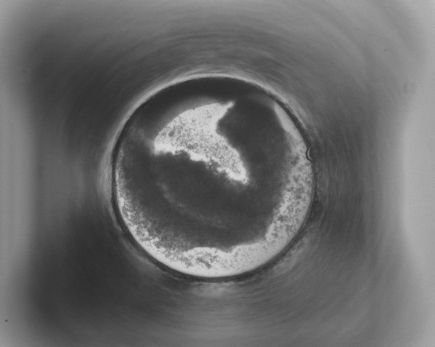 X0000101461519200807280949