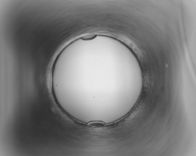 X0000101461520200807280949