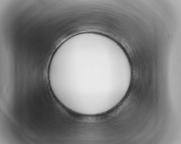 X0000101461521200807280949