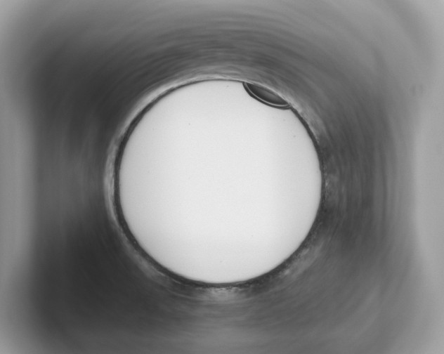 X0000101461523200807280949