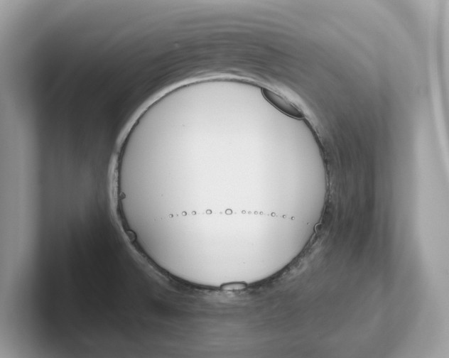 X0000101461524200807280949