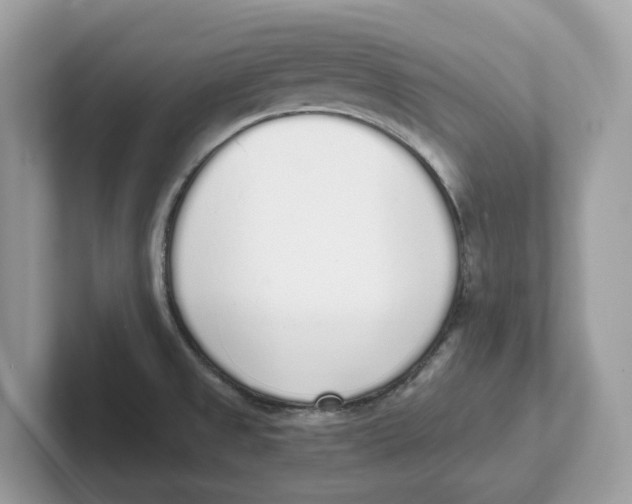 X0000101461525200807280949