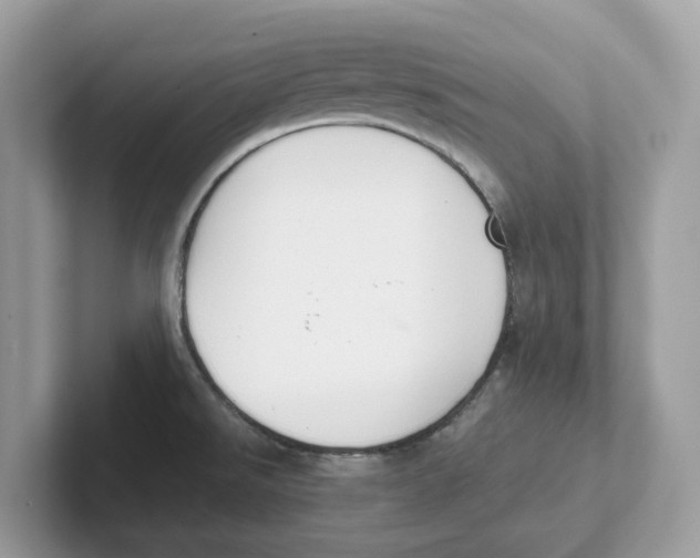 X0000101461526200807280949