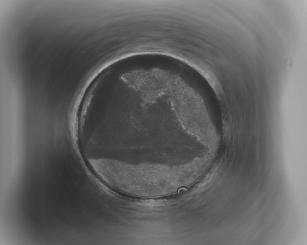 X0000101461527200807280949