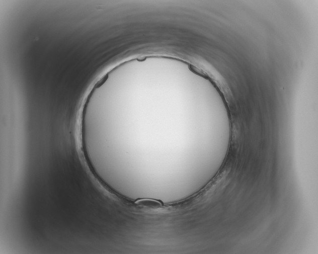 X0000101461528200807280949