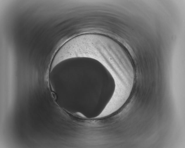 X0000101461529200807280949