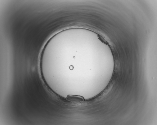 X0000101461530200807280949