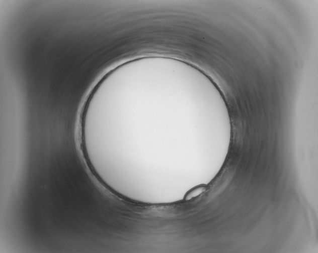 X0000101461531200807280949