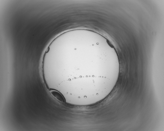 X0000101461532200807280949