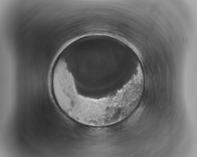 X0000101461533200807280949