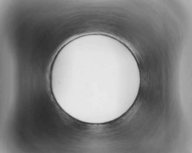 X0000101461534200807280949