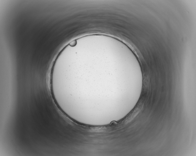 X0000101461535200807280949