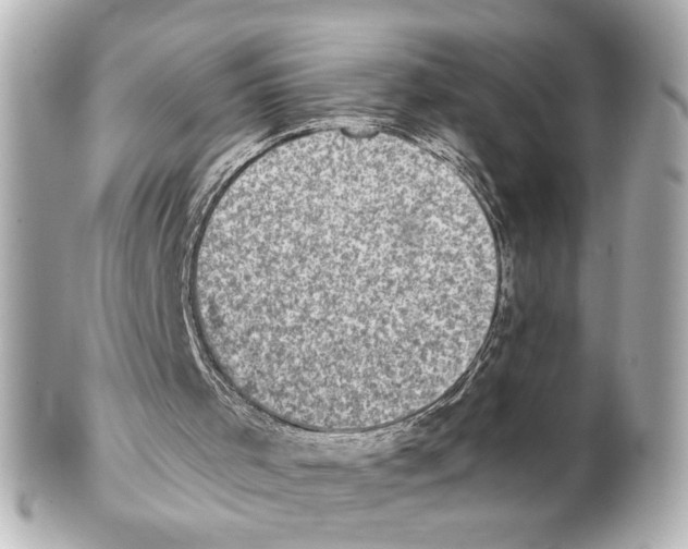 X0000101460001200808041053