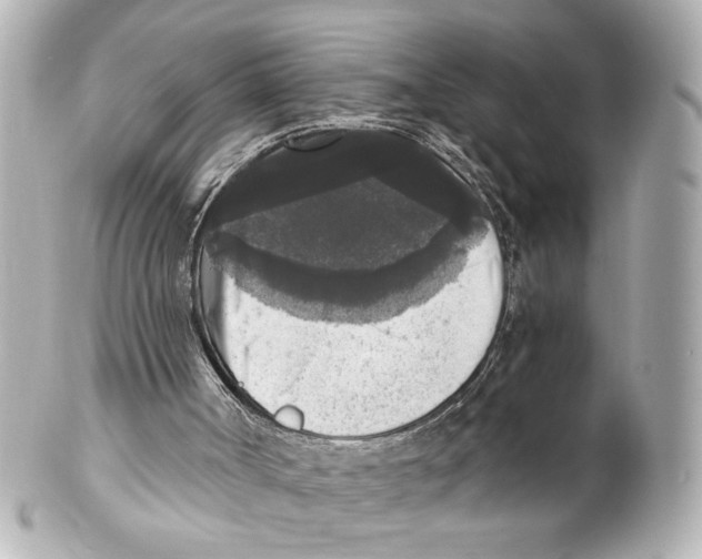 X0000101460002200808041053