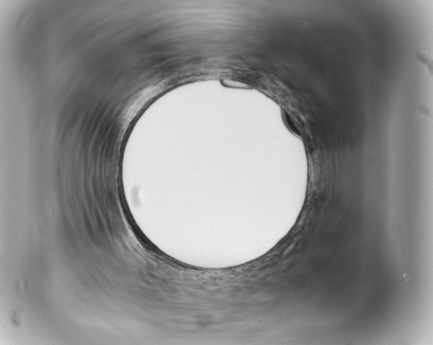 X0000101460003200808041053