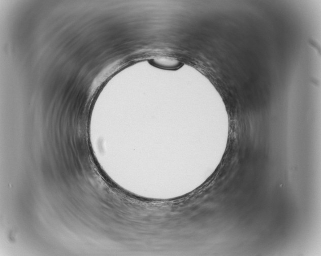 X0000101460004200808041053