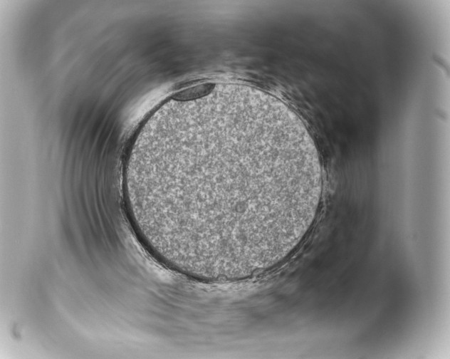 X0000101460005200808041053