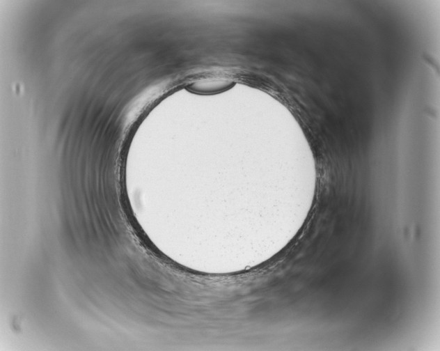 X0000101460006200808041053