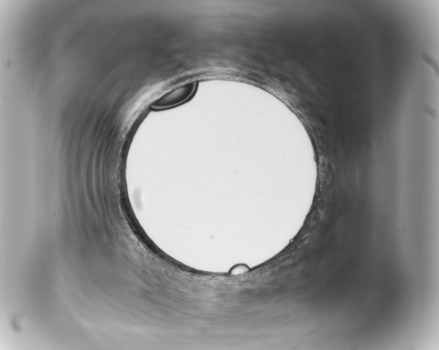 X0000101460007200808041053
