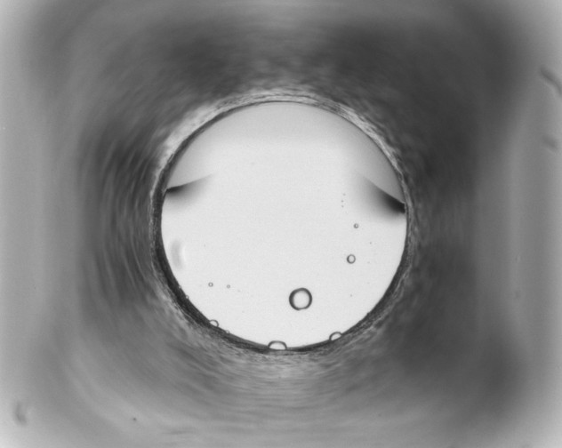 X0000101460008200808041053