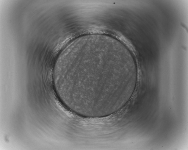 X0000101460009200808041053