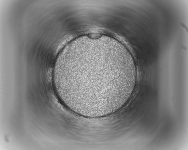 X0000101460010200808041053