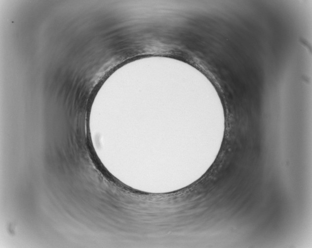 X0000101460011200808041053