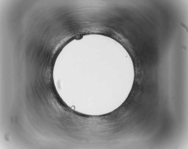 X0000101460012200808041053