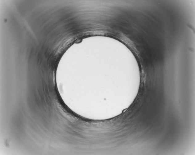 X0000101460013200808041052