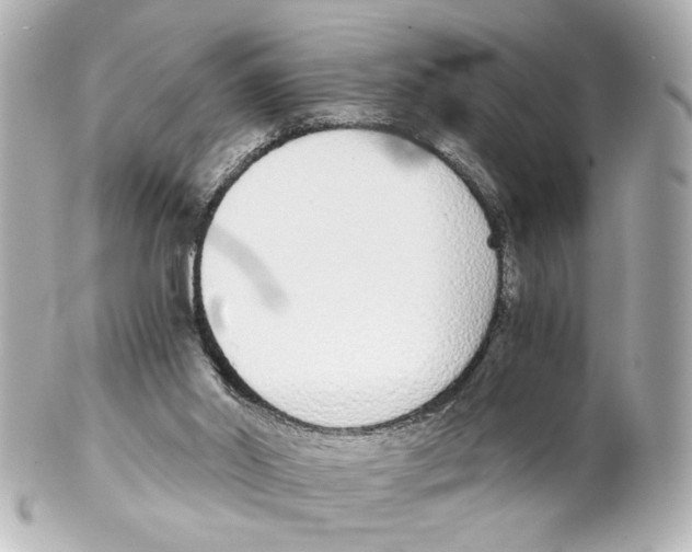 X0000101460014200808041052